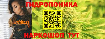 спиды Новодвинск