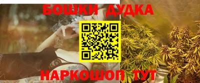 спиды Новодвинск