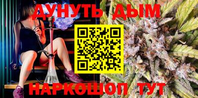 спиды Новодвинск