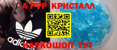 спиды Новодвинск