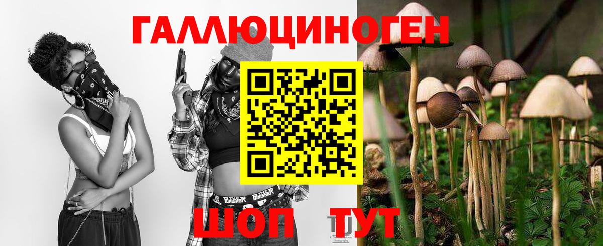 Сызрань  Псилоцибиновые грибы MAGIC MUSHROOMS  Вход с VPN 